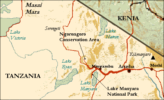 Ponto Turístico Cratera de Ngorongoro em Arusha (Serengeti/Ngorongoro)