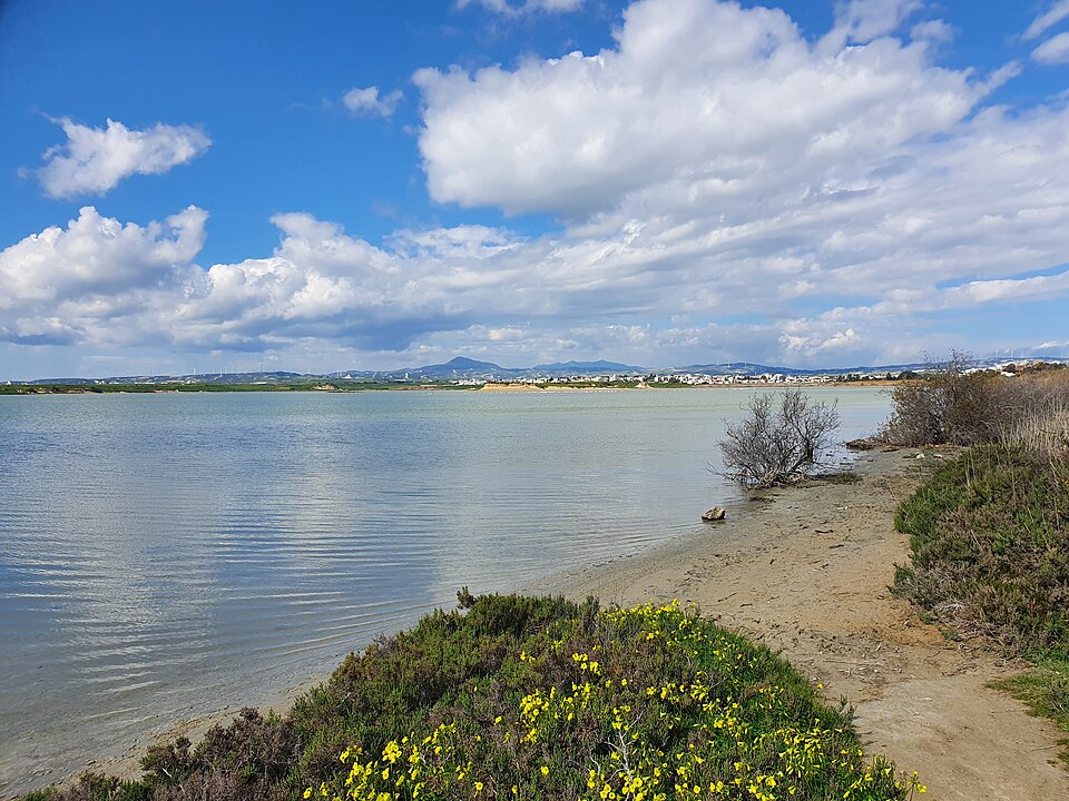 Ponto Turístico Lago Salgado de Lárnaca em Lárnaca