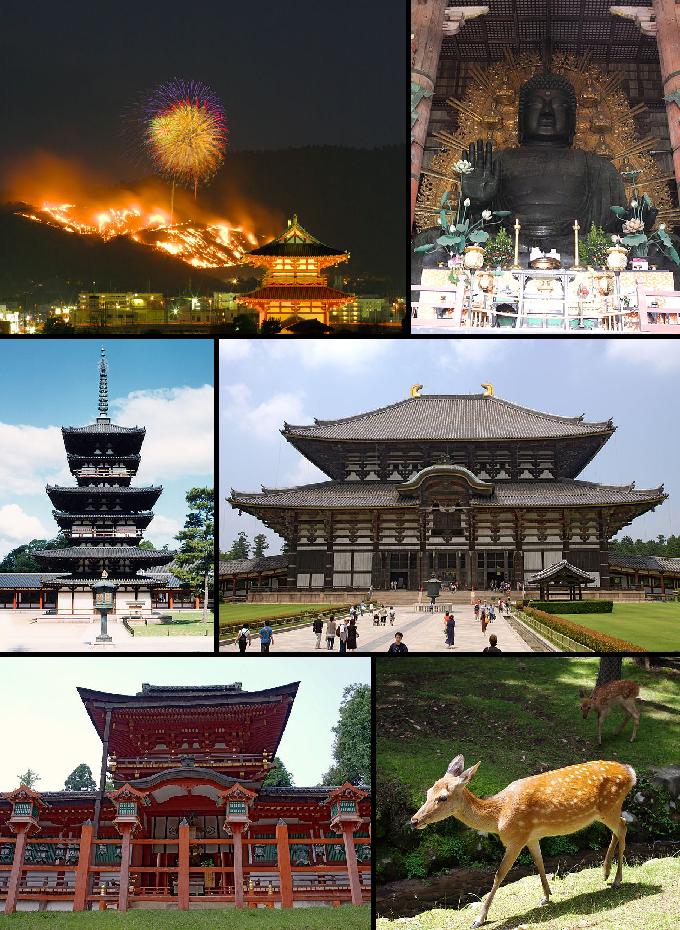 Ponto Turístico Parque de Nara (Cervos) em Nara